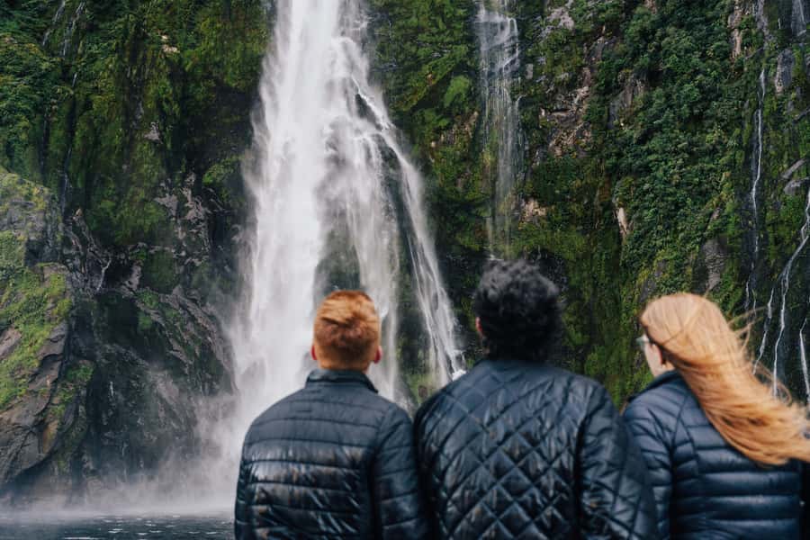 From Queenstown: Milford Sound Cruise and Scenic Drive - Key things I’d circle before you book