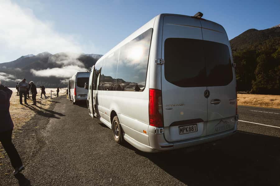 From Queenstown: Milford Sound Cruise and Scenic Drive - Wildlife spotting, from seals and dolphins to seasonally penguins