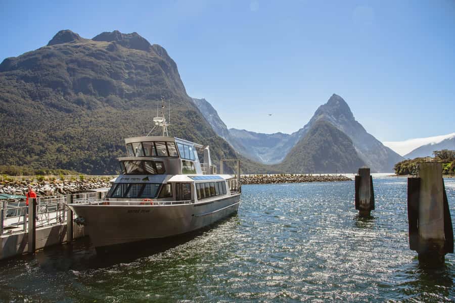 From Queenstown: Milford Sound Cruise and Scenic Drive - Who should book this Milford Sound combo cruise-drive