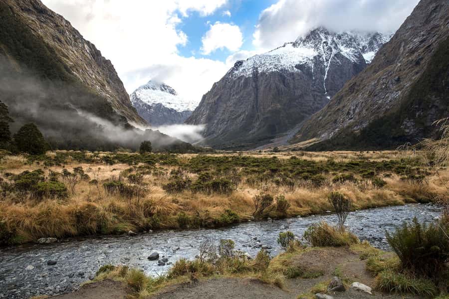 From Queenstown: Milford Sound Cruise & Scenic Coach Tour - Milford Sound Day Trip From Queenstown: what you are really buying