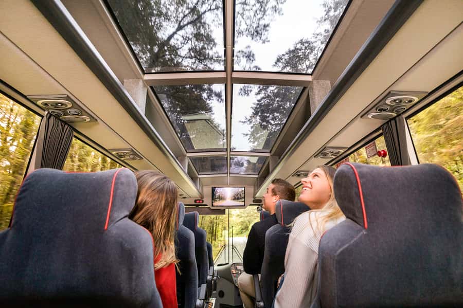 From Queenstown: Milford Sound Day Trip on Premium Coach - The Southern Discoveries App and Coach Commentary Setup