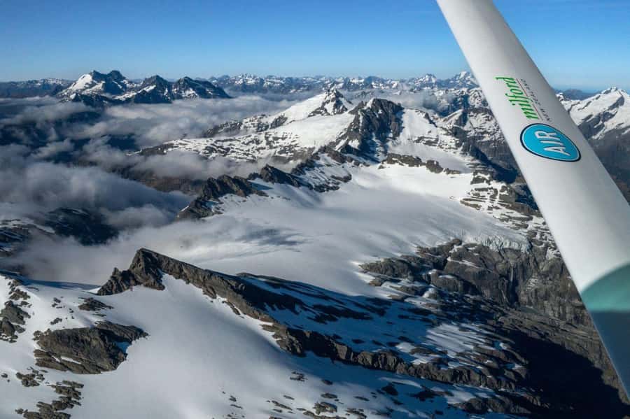 From Queenstown: Milford Sound Flight and Cruise with Lunch - Key Points You Will Care About