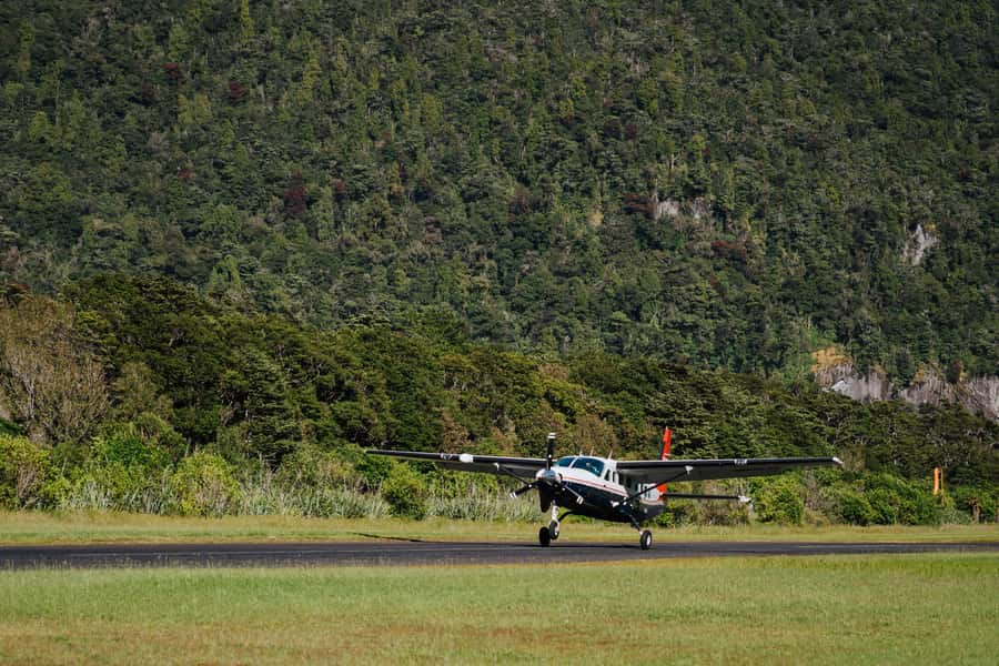 From Queenstown: Milford Sound Full-Day Trip by Plane & Boat - What you’ll actually see on the cruise, from waterfalls to wildlife