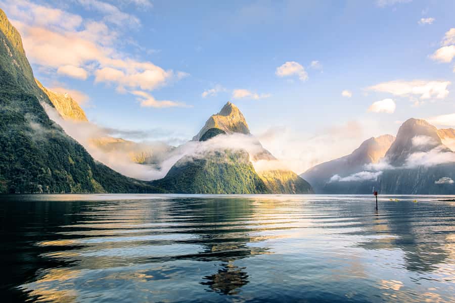 From Queenstown: Milford Sound Premium Day Tour and Cruise - Quick hits: what makes this Milford Sound day trip work