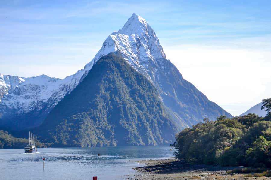 From Queenstown: Milford Sound Premium Day Tour and Cruise - Milford Sound cruise details: waterfalls up close, plus dolphins and seals