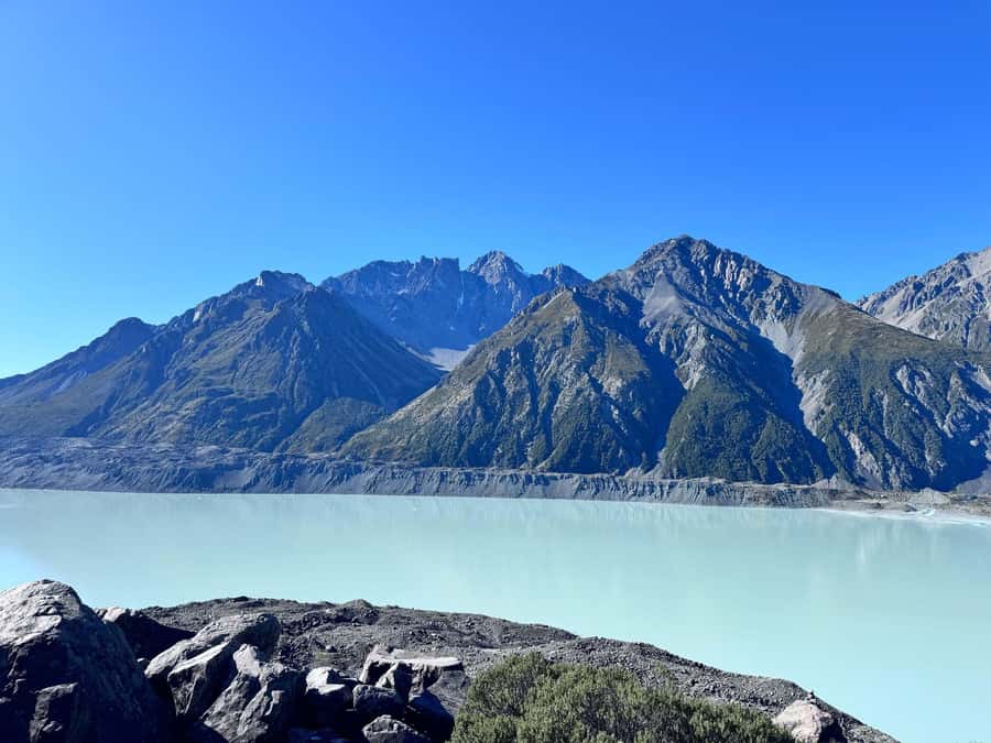From Queenstown: Mount Cook Scenic Day Tour - High Country Salmon and Jackson Orchards, the “quick stops” that add character