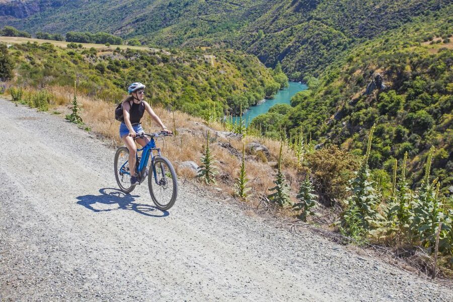 From Queenstown: 'Valley of the Vines' Wine and Bike Tour - Where This Day Fits In on the South Island