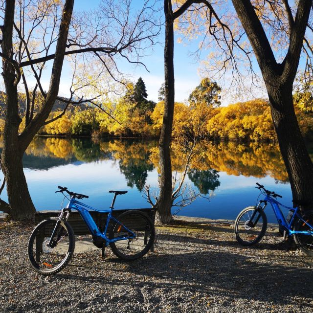 From Queenstown: 'Valley of the Vines' Wine and Bike Tour - The Bikes: eBikes Make This Tour Feel Like a Treat