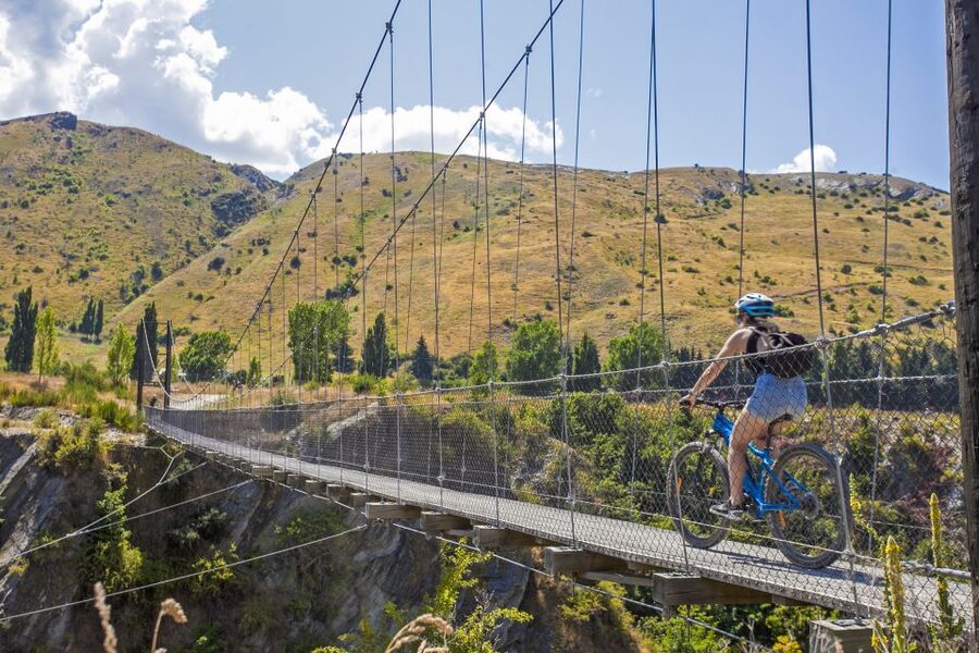 From Queenstown: 'Valley of the Vines' Wine and Bike Tour - Twin Rivers Trail: The Beginner-Friendly Ride You Can Actually Enjoy