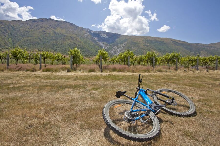 From Queenstown: 'Valley of the Vines' Wine and Bike Tour - Kawarau Bridge and the Bungee Factor