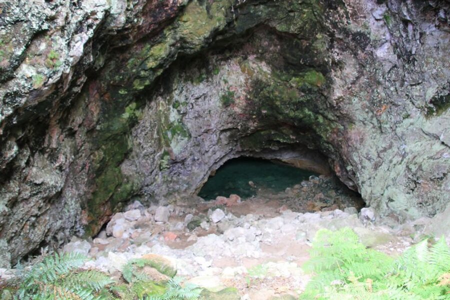 From Rotorua: Taupo Day Trip with Orakei Korako or Waiotapu - Is this tour right for you?