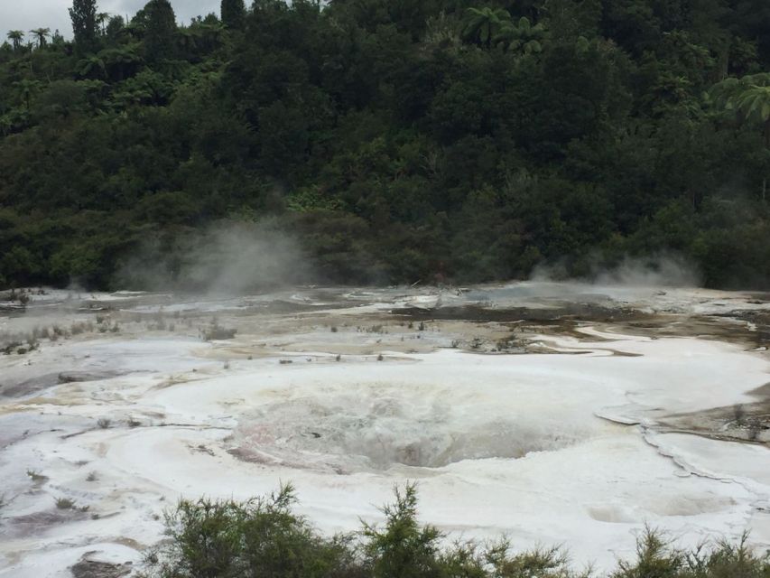 From Rotorua: Taupo Day Trip with Orakei Korako or Waiotapu - Picking Orakei Korako vs Waiotapu: choose the vibe