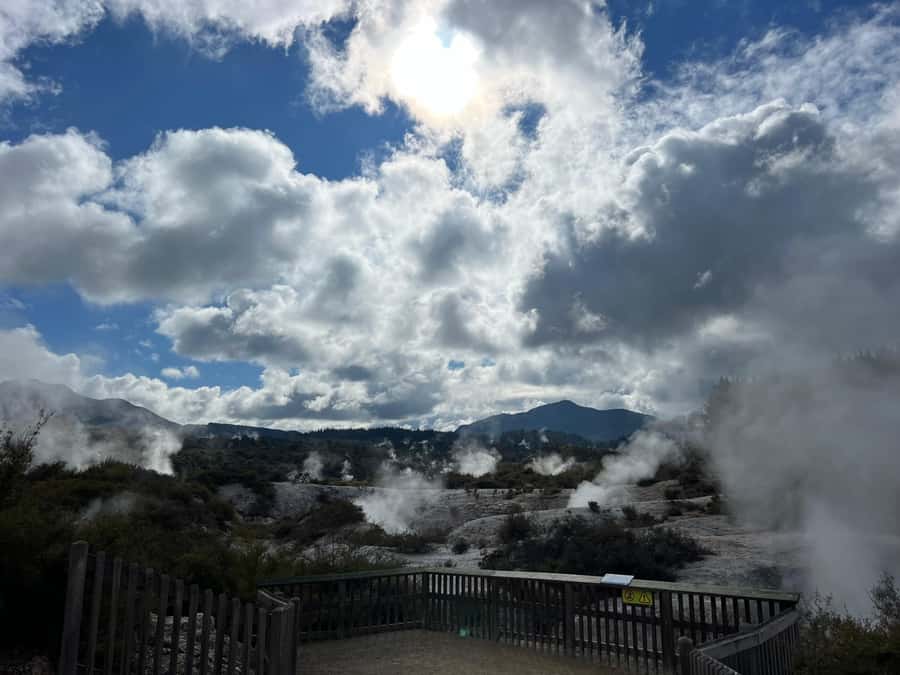 From Rotorua: WAI-O-TAPU Geothermal Wonderland Half-Day Tour - Key things I’d watch for on this tour