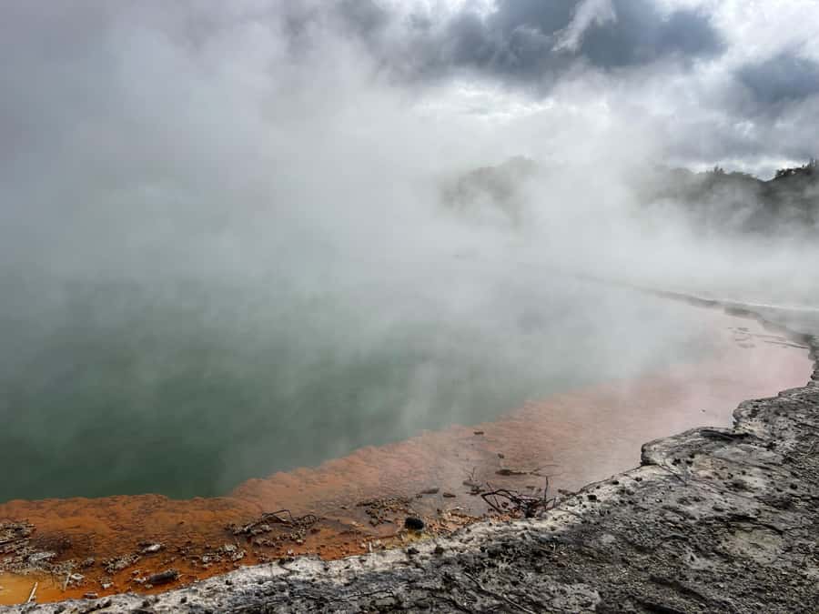 From Rotorua: WAI-O-TAPU Geothermal Wonderland Half-Day Tour - Lady Knox Geyser presentation: a scheduled moment, so plan your position