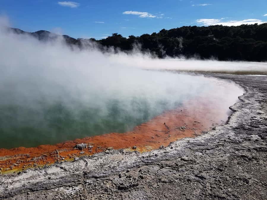From Rotorua: Wai-O-Tapu, Waimangu and Te Puia Full-Day Tour - Key takeaways before you go