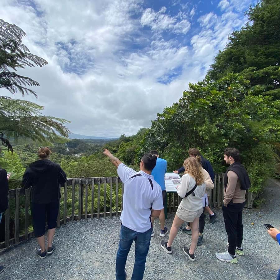 From Rotorua: Wai-O-Tapu, Waimangu and Te Puia Full-Day Tour - Why this Big Four combo works in one 8-hour Rotorua day