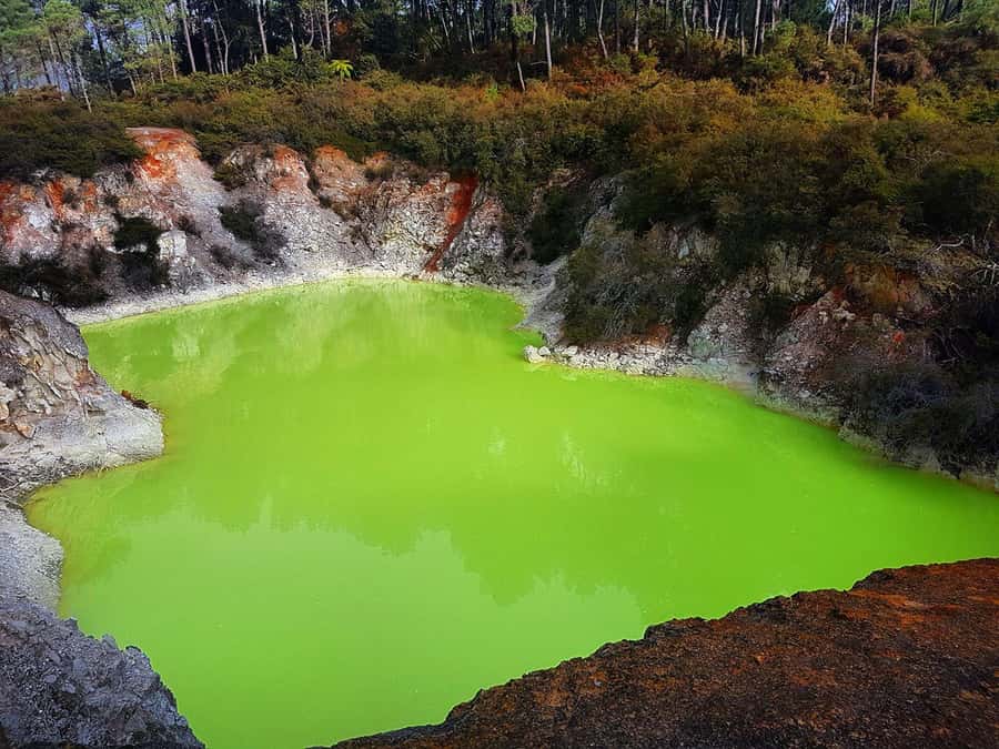 From Rotorua: Wai-O-Tapu, Waimangu and Te Puia Full-Day Tour - Price and value: what $209 buys you in Rotorua