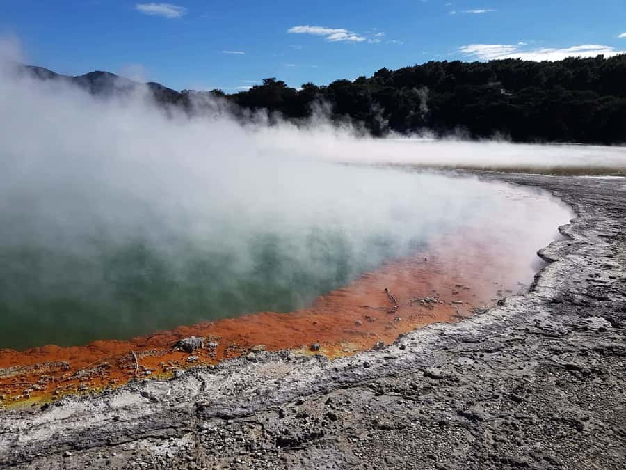 From Rotorua: Wai O Tapu & Waimangu Eco Thermal Morning Tour - Lady Knox Geyser Stop at 10:15: How the Tour Uses the Schedule