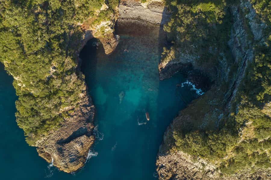 From Tairua: 2 Hour Cathedral Cove Tour with Local Guide - Quick highlights you will feel right away