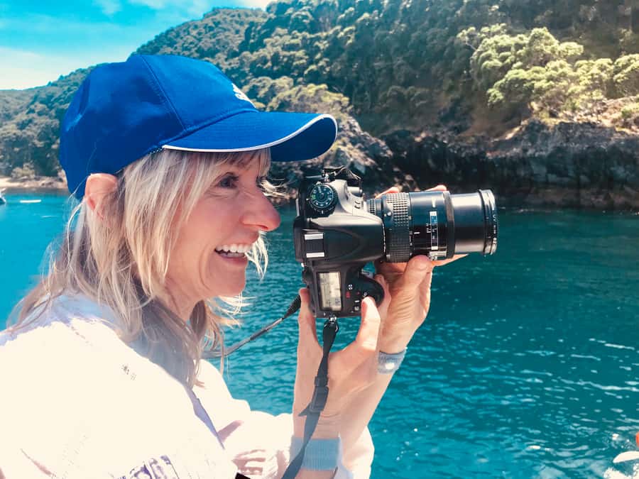 From Tauranga: Dolphin and Wildlife Cruise - Key Things That Make This Cruise Worth Your Time