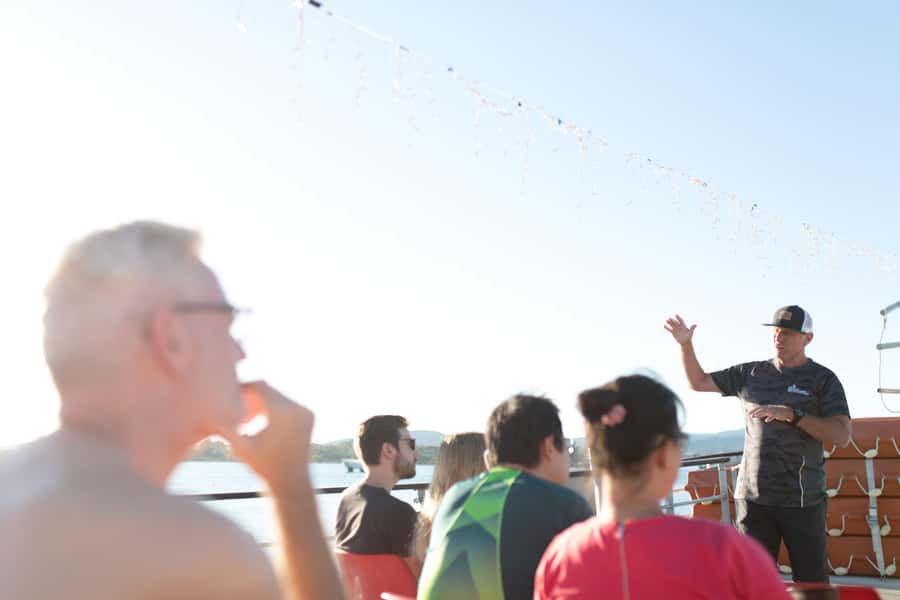 From Tauranga: Dolphin and Wildlife Cruise - Photography From Deck: How to Get Close Without Stress