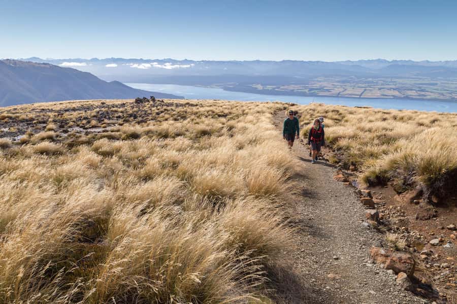 From Te Anau: Full Day Kepler Track Guided Heli-Hike - 5 reasons this tour feels worth the cost