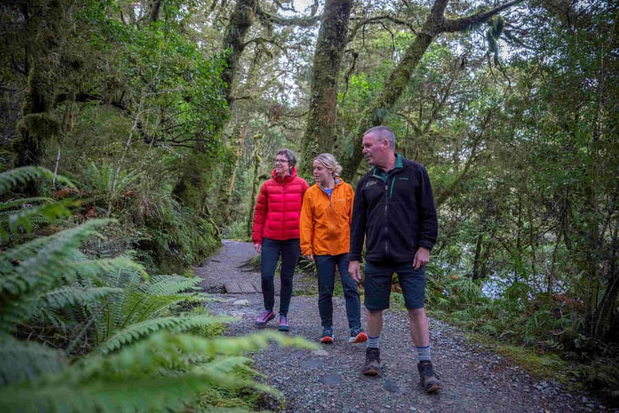 From Te Anau: Milford Sound Coach, Cruise, and Walks - Price and Value: What $164 Actually Buys You