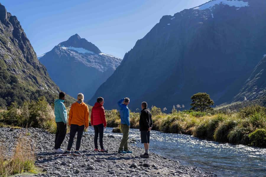 From Te Anau: Milford Sound Coach, Cruise, and Walks - Milford Sound in One Day, Starting from Te Anau