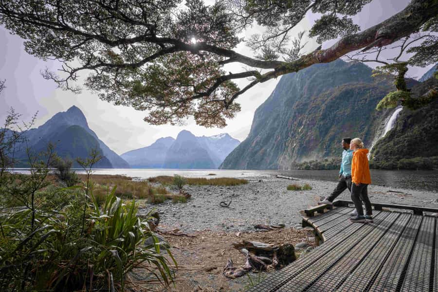 From Te Anau: Milford Sound Coach, Cruise, and Walks - Picnic Lunch Timing: Simple Food, Good Logistics
