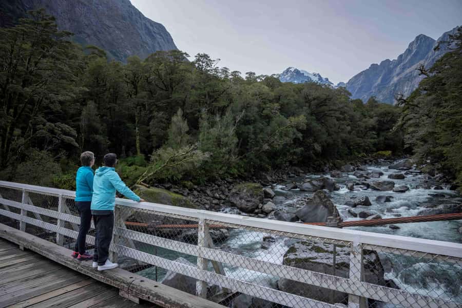 From Te Anau: Milford Sound Coach, Cruise, and Walks - Milford Road Morning, Coach Comfort with Real Stops