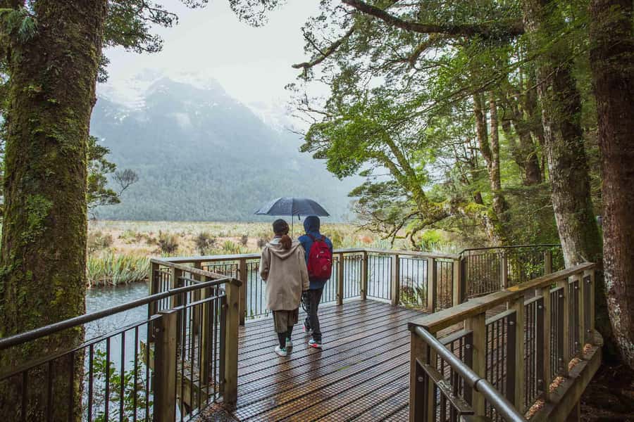 From Te Anau: Milford Sound Coach Tour and Cruise - Piopiotahi and Milford Sound, what the cruise feels like