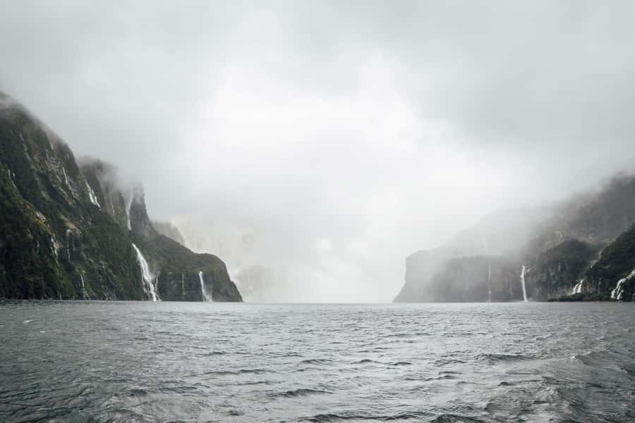 From Te Anau: Milford Sound Coach Tour and Cruise - Price and value: what $110 buys you