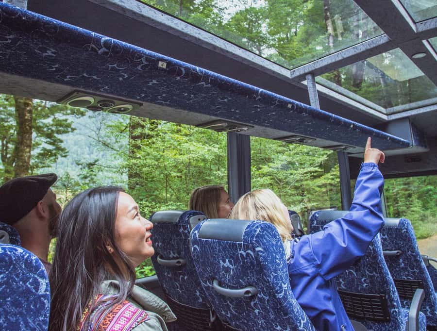 From Te Anau: Milford Sound Coach Tour and Cruise - Fiordland National Park, photo stops and short walks that make sense