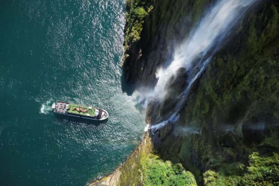 From Te Anau: Milford Sound Cruise and Coach Day Trip - Final Call: Should You Book This RealNZ Milford Sound Trip?