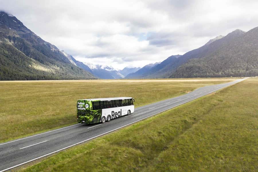From Te Anau: Milford Sound Cruise and Coach Day Trip - Stop Breakdown: Eglinton Valley, Mirror Lakes, and Monkey Creek