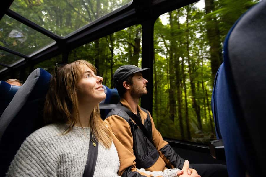 From Te Anau: Milford Sound Cruise and Coach Day Trip - Weather in Fiordland: Plan for Rain, Enjoy It