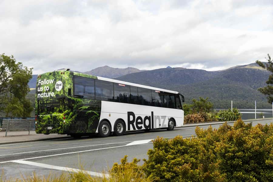 From Te Anau: Milford Sound Cruise and Coach Day Trip - Who This Te Anau to Milford Sound Cruise Is Best For