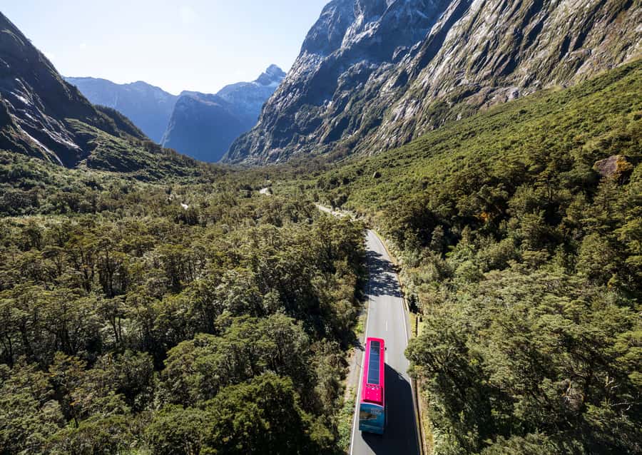 From Te Anau: Milford Sound Premium Bus Tour and Cruise - Should you book this Te Anau to Milford Sound Premium Bus and Cruise?