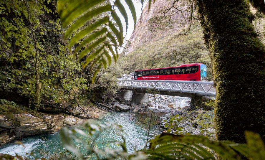 From Te Anau: Milford Sound Premium Bus Tour and Cruise - Waterfalls, peaks, and the wildlife you might see in Milford Sound