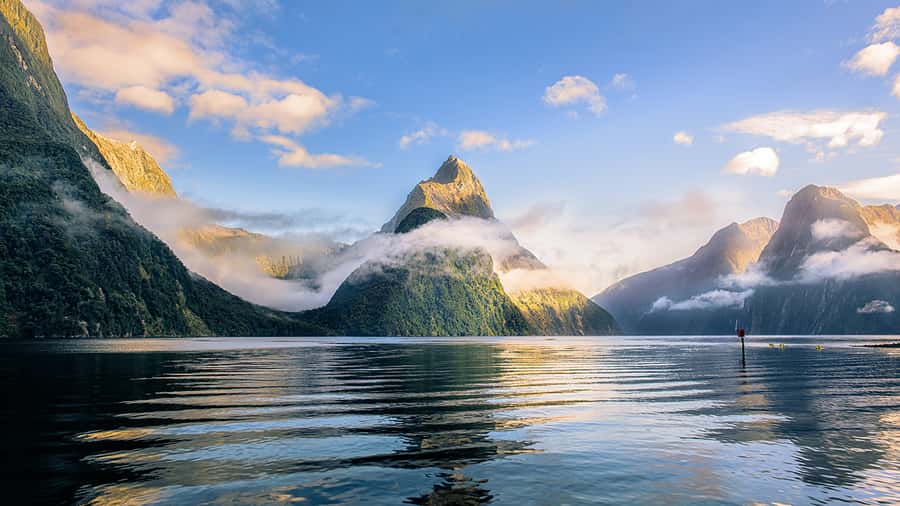 From Te Anau: Milford Sound Small-Group Tour Including Lunch - Key highlights at a glance