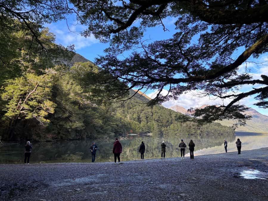 From Te Anau: Milford Sound Small-Group Tour Including Lunch - The Chasm and Pop’s View: the satisfying stretch on the return