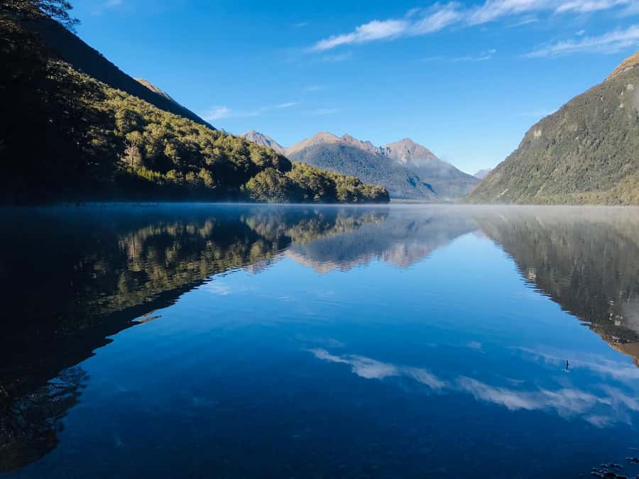 From Te Anau: Milford Sound Small-Group Tour Including Lunch - Hollyford River and Falls Creek: switch from wide views to dramatic motion