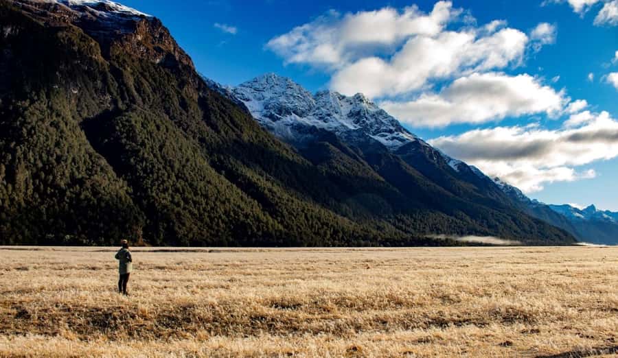 From Te Anau: Milford Sound Small-Group Tour Including Lunch - Homer Tunnel: a hand-built passage with big “you’re going somewhere” energy