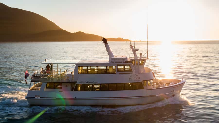 From Te Anau: Milford Sound Small-Group Tour Including Lunch - The comfortable minibus and the guide factor