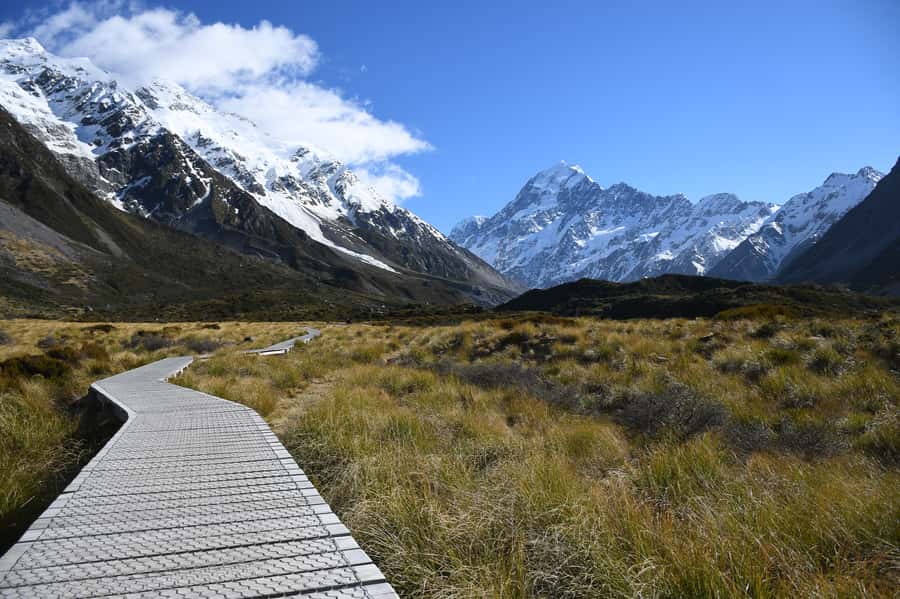 From Tekapo: Small-Group, Carbon Neutral Mt Cook Day Tour - Price and value: $164 for a structured alpine day that includes the basics