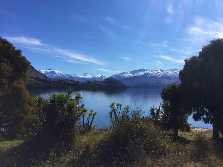 From Wanaka: Ruby Island 1-Hour Cruise and Photo Walk - Key points to know before you go