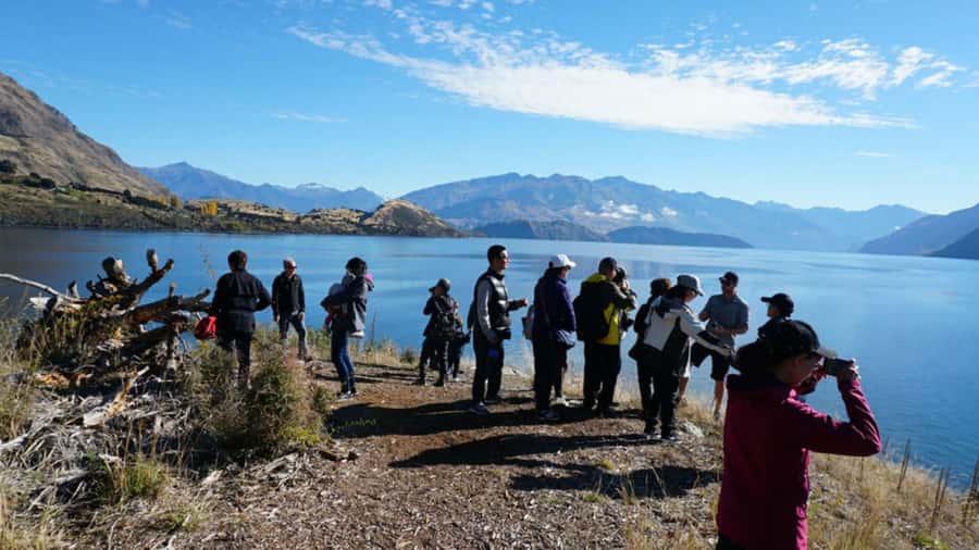 From Wanaka: Ruby Island 1-Hour Cruise and Photo Walk - Price and value: $29 for a guided lake experience