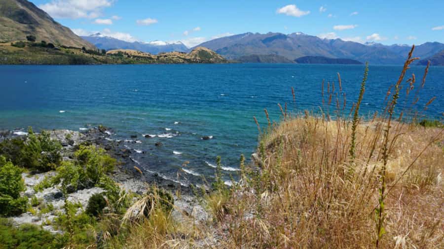 From Wanaka: Ruby Island 1-Hour Cruise and Photo Walk - Ruby Island in one hour, and why it works