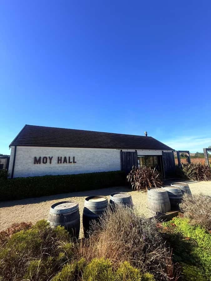 From Wellington: Half-Day Foodie Tour of the Wairarapa - Wairarapa Food in a Half-Day: The Real Value Behind $111