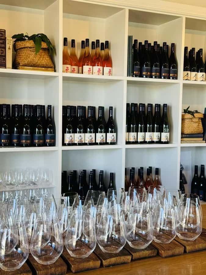 From Wellington: Half-Day Foodie Tour of the Wairarapa - Transport Comfort, Van Access, and How to Prep Like a Pro